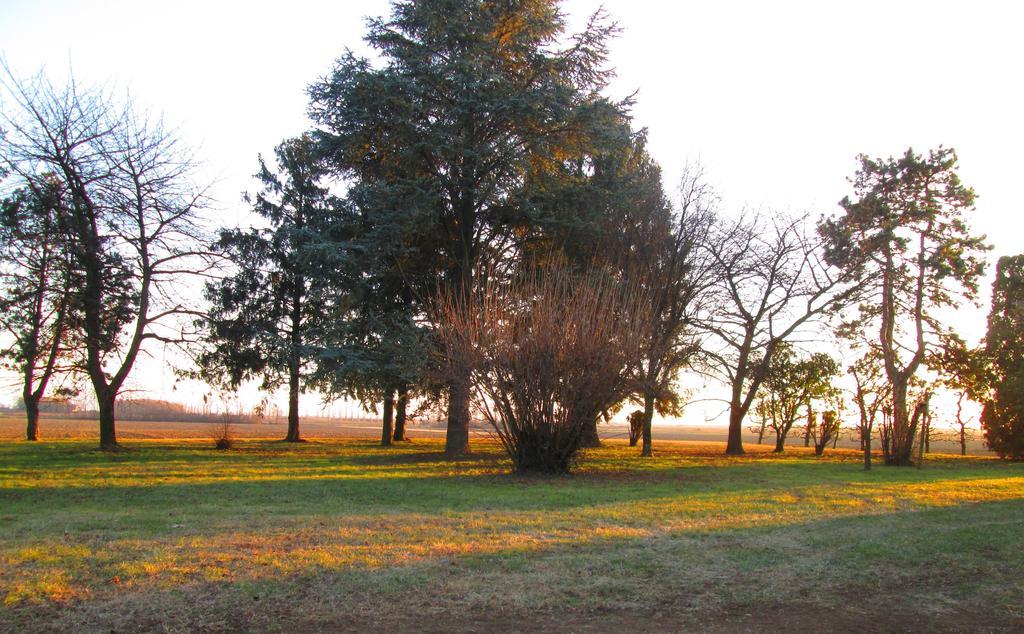 La Centuria Societa Agricola Casa Vacanze Terzo d' Aquileia Luaran gambar